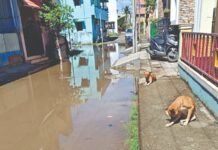 மேடவாக்கம் பகுதியில் முடிவடையாத SWD பணிகள்