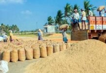 காட்டாங்கொளத்தூர் கொள்முதல் நிலையங்களில் நெல் தேக்கம்