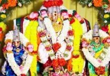 வள்ளி – முருகப் பெருமான் திருக்கல்யாணம் – திருப்போரூர் கோயிலில் கோலாகலம்