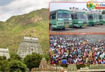சித்ரா பௌர்ணமி: சிறப்பு பேருந்துகள் எத்தனை தெரியுமா?