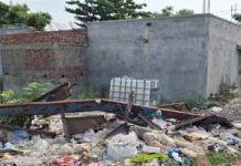 செங்கல்பட்டில் நாய் கருத்தடை மையப் பணி முடக்கம்