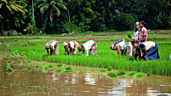farm land