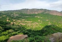 செங்கல்பட்டு: வெடிக்காத குண்டுகள் மீட்பு – ராணுவம் தீவிர சோதனை