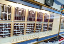 திருப்போரூரில் திருடியான இந்தி ஆசிரியை
