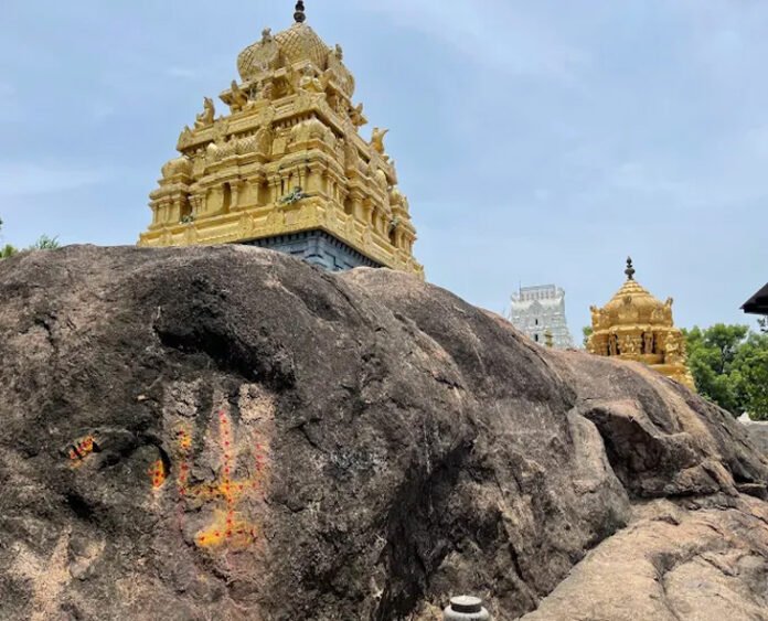 singaperumal narasimhar
