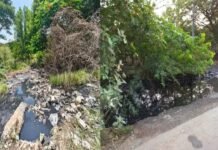 மறைமலைநகர் சிப்காட் பகுதியில் வெளியேறும் கழிவுநீர்: நோய்த்தொற்று பரவும் அபாயம்!