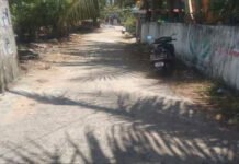 வடபட்டினம் தார்சாலை சேதம்: புதிய சாலை அமைக்க கோரிக்கை