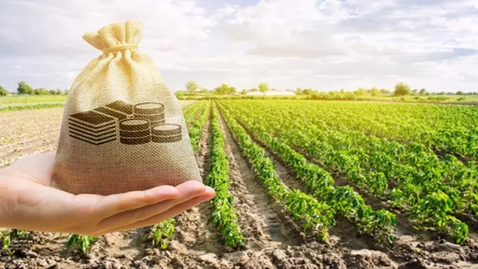 farming land